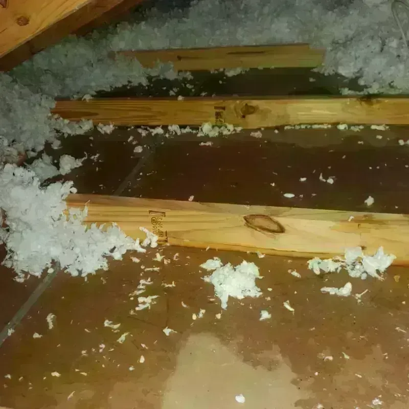 Attic Water Damage in Primera, TX